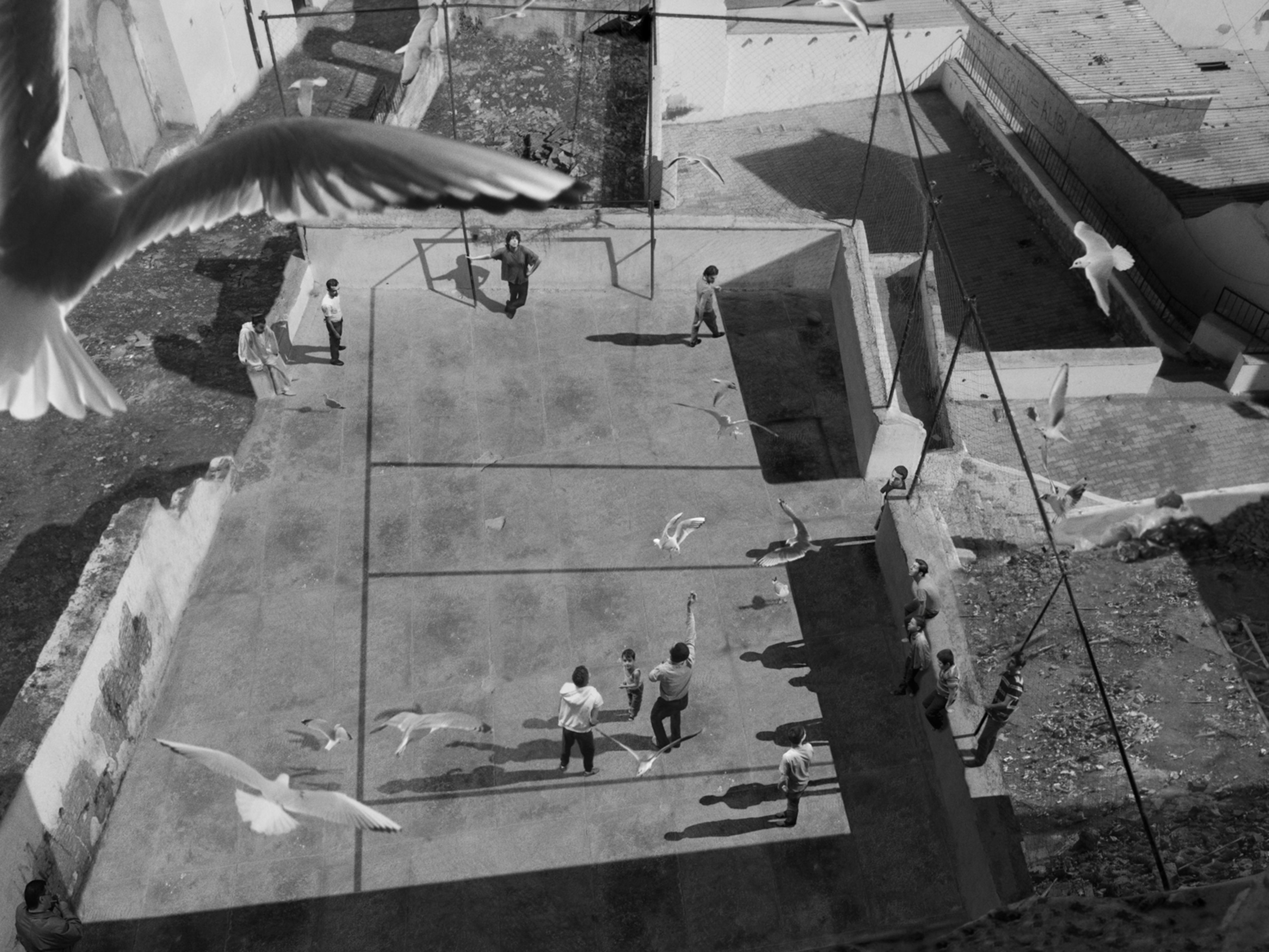 The Algiers' Sections of A Happy Moment (27677)